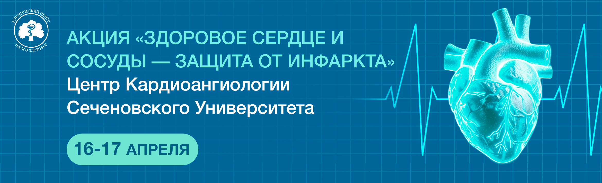 баннер.jpg