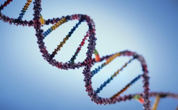 3 сентября - День открытия уникальности ДНК