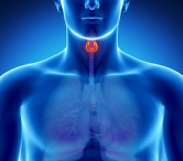 25 мая - Всемирный день щитовидной железы 