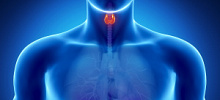 25 мая - Всемирный день щитовидной железы 