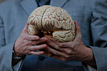 Профессор Владимир Анатольевич Парфенов рассказал, как замедлить надвигающуюся деменцию при болезни Альцгеймера